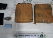 POLDA METRO JAYA BERHASIL MENGUNGKAP PEREDARAN 2,05 KILOGRAM GANJA, 1 Pria Diamankan