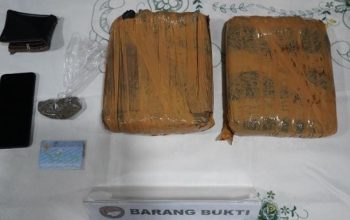POLDA METRO JAYA BERHASIL MENGUNGKAP PEREDARAN 2,05 KILOGRAM GANJA, 1 Pria Diamankan